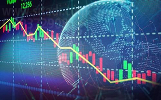 公布2月12日完整信息