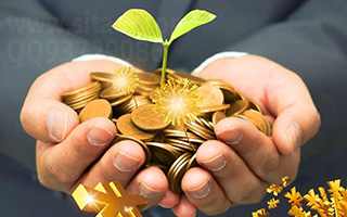 公布12月11日完整信息