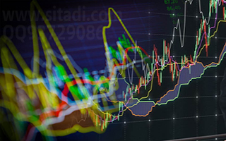 公布3月4日完整信息
